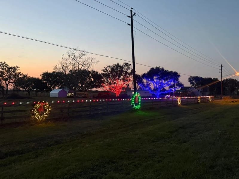 Fence line wrapped in Christmas lights with wreaths hung along it