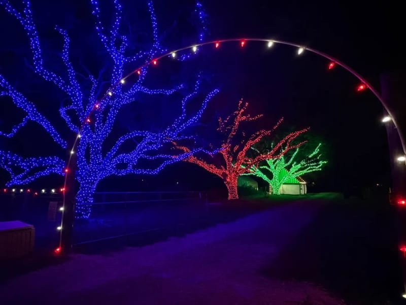 Driveway lined with lit trees and a lighted archway at the entry